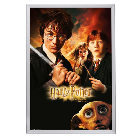 "Harry Potter and the Chamber of Secrets" (2002) Framed Movie Poster
