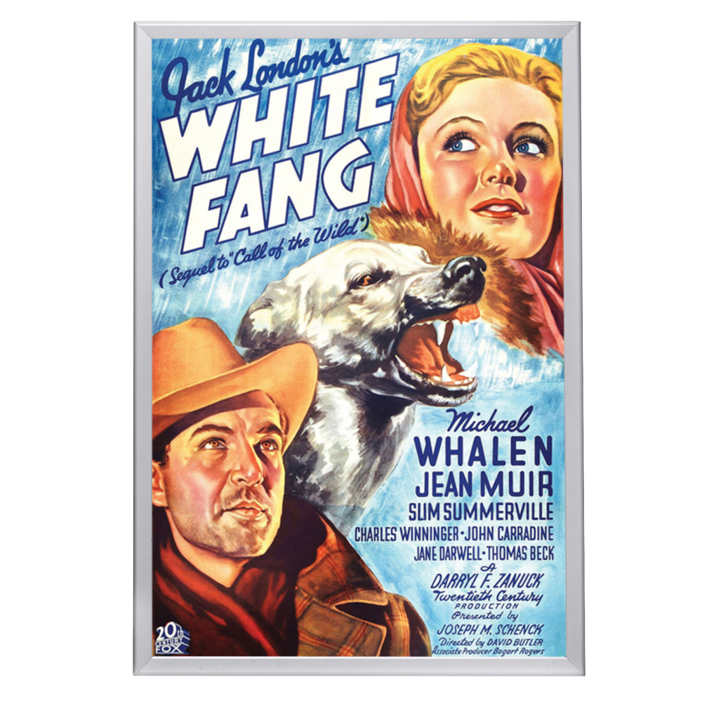 "White Fang" (1936) Framed Movie Poster