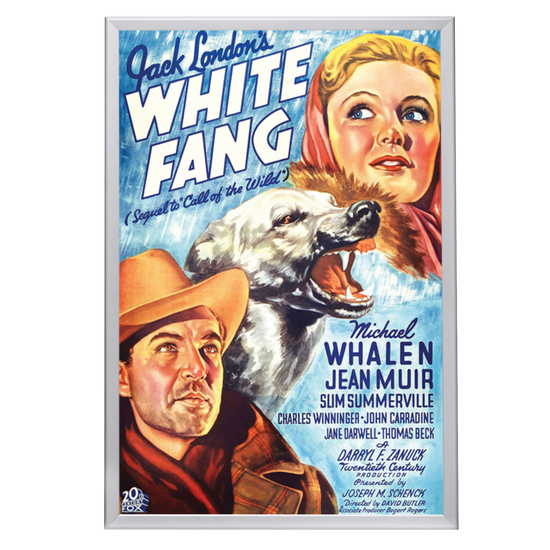 "White Fang" (1936) Framed Movie Poster