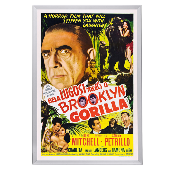 "Bela Lugosi Meets A Brooklyn Gorilla" (1952) Framed Movie Poster