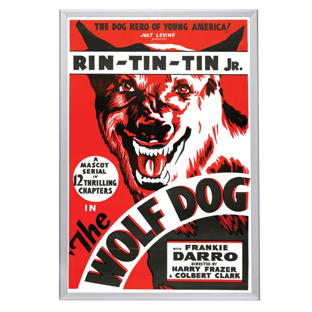 "Wolf Dog" (1933) Framed Movie Poster