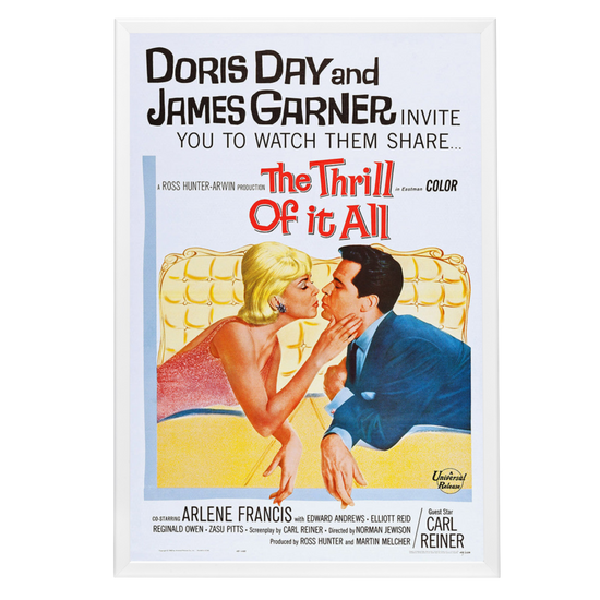 "Thrill Of It All" (1963) Framed Movie Poster