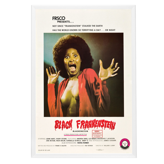"Black Frankenstein" (1973) Framed Movie Poster