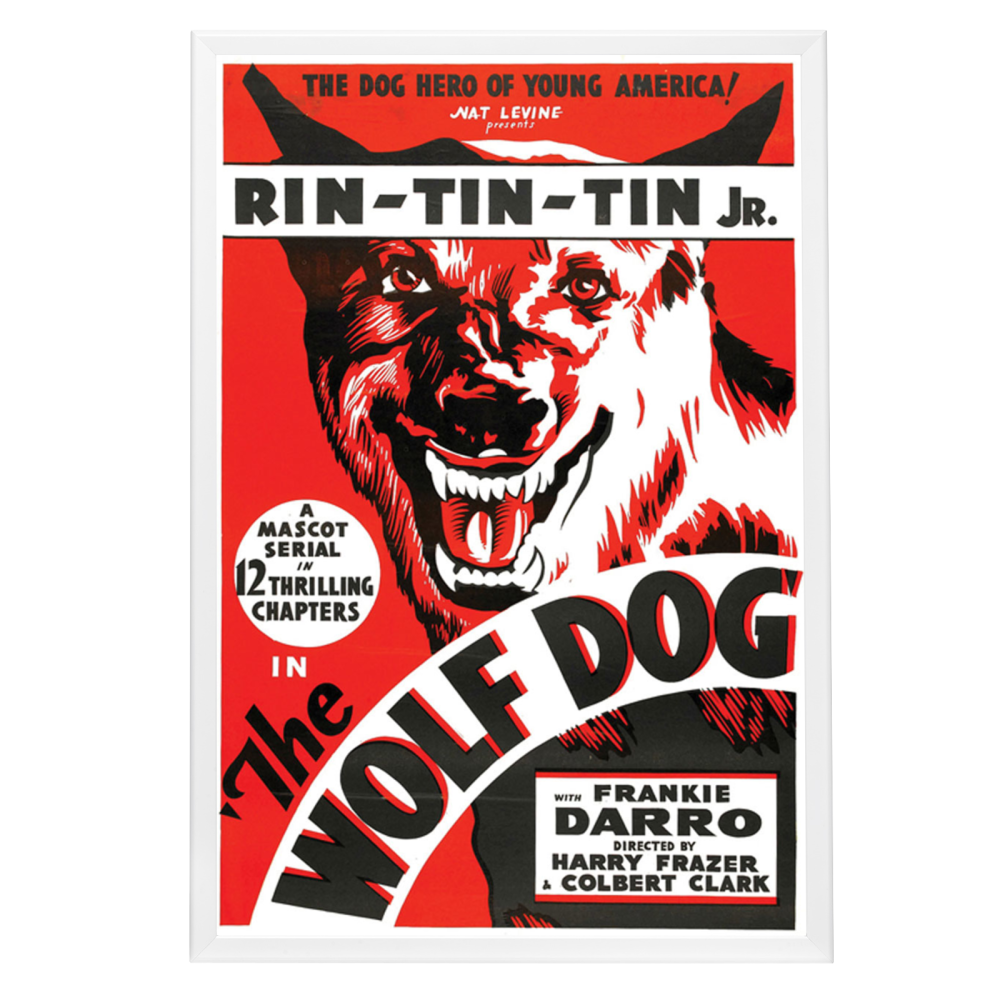 "Wolf Dog" (1933) Framed Movie Poster