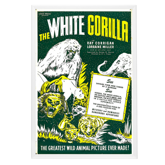 "White Gorilla" (1945) Framed Movie Poster