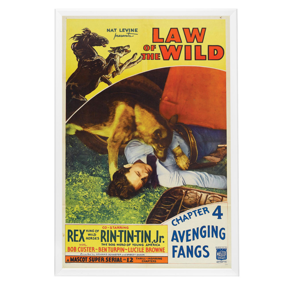 "Law Of The Wild" (1934) Framed Movie Poster