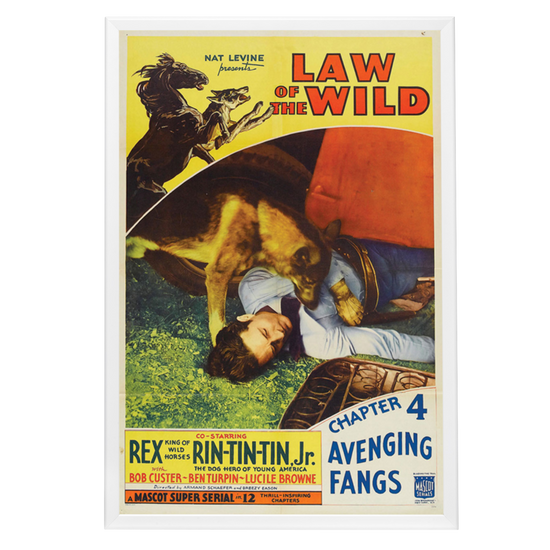 "Law Of The Wild" (1934) Framed Movie Poster