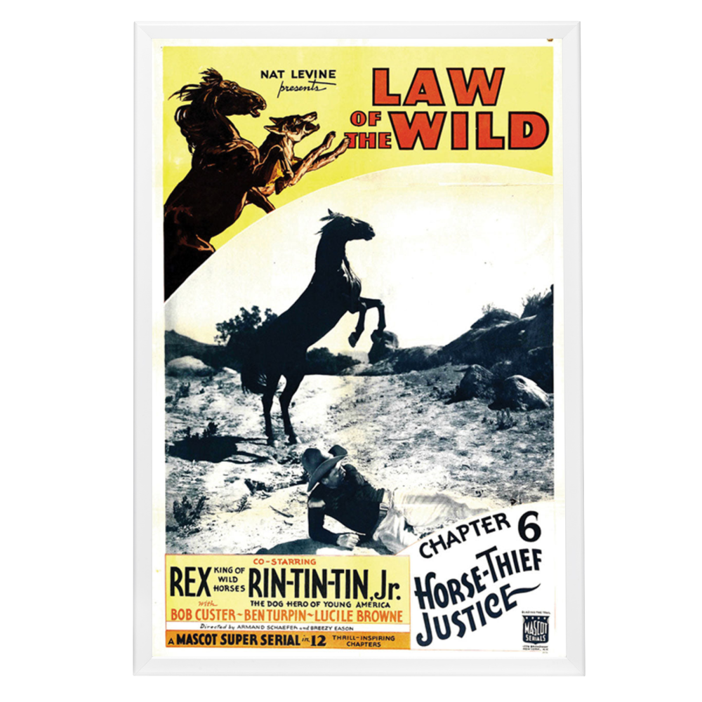 "Law Of The Wild" (1934) Framed Movie Poster