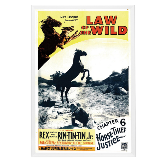 "Law Of The Wild" (1934) Framed Movie Poster