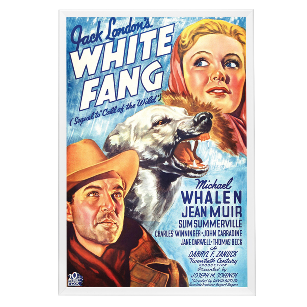 "White Fang" (1936) Framed Movie Poster