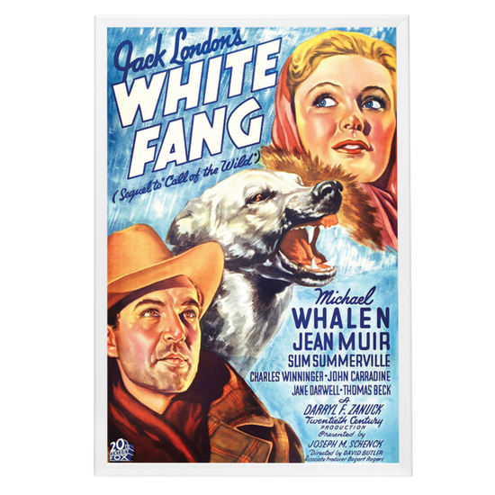 "White Fang" (1936) Framed Movie Poster